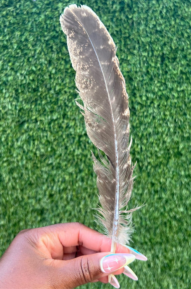 Smudging Feather 🪶(large) – Ancient Alignment LLC